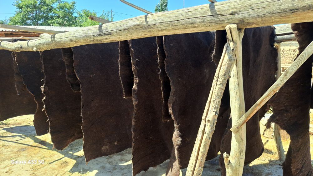 Киіз кошма войлок