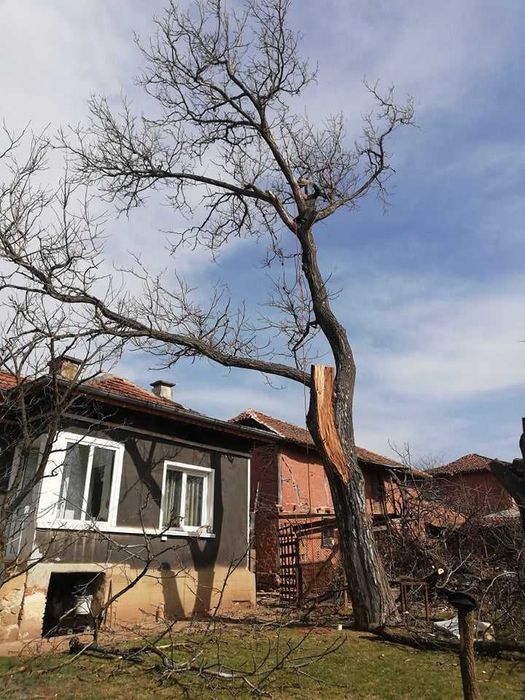Рязане На Всякакви Видове дървета, Ремонтни и Строителни  Дейности