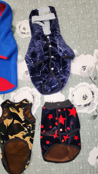 Толстовки для мелких собачек