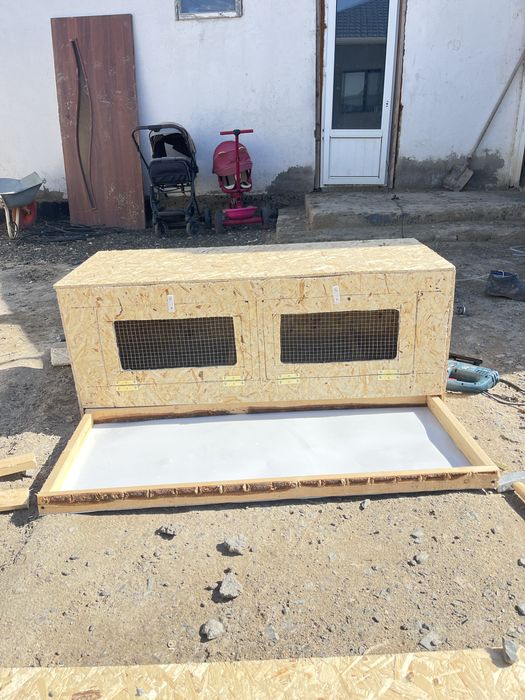 Брудер гниздо дамашный птица