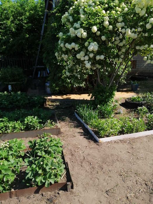 Дача в садовом обществе Горизонт