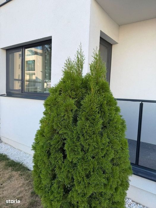 Apartament 2 camere Darwin Residence, Tunari 135.000 € neg.