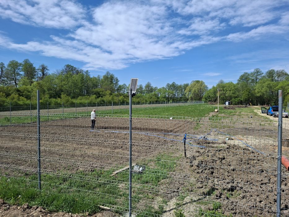 Vând 4 loturi teren în loc retras, înconjurat de pădure și fără vecini la 20 minute de București