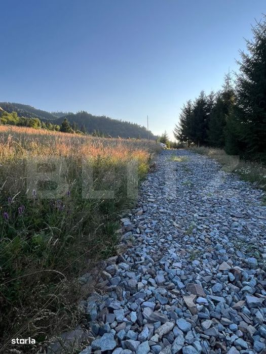 Teren intravilan de 10 ari cu vedere la lac, Colibita