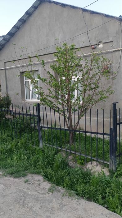 Уй сотилади 8 сотох, 3 хона