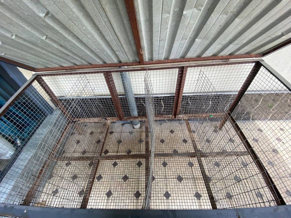 Hayvonlar uchun qafas