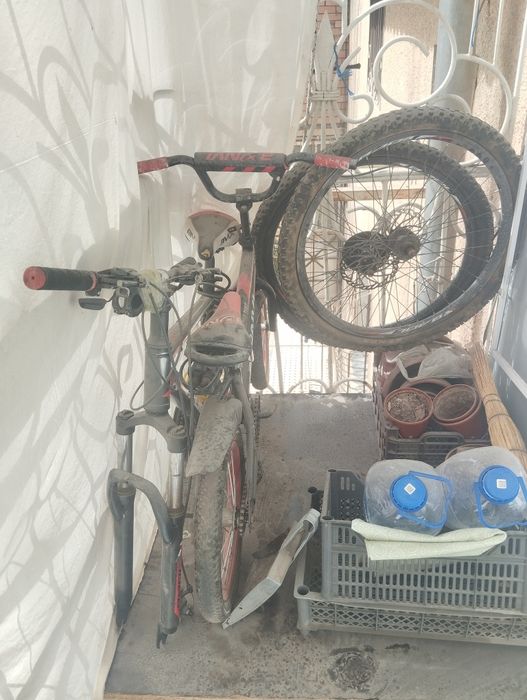 Велосипед Бонви и баол