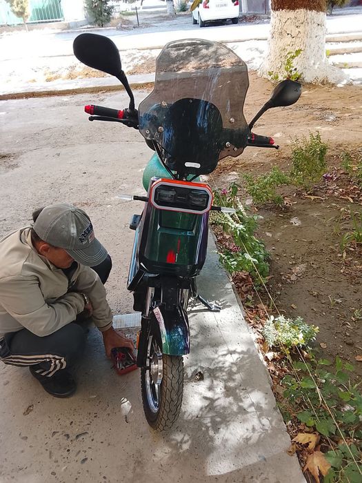 Sukutor holati yahshi yangi