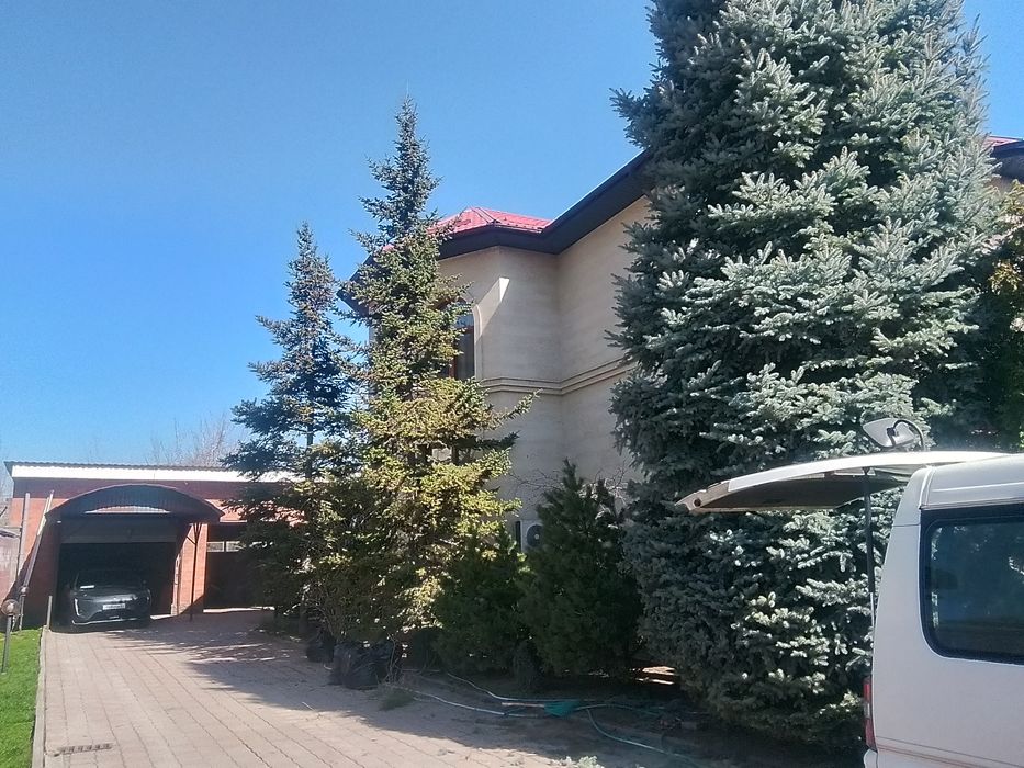 посев газона   уход сада всё включено