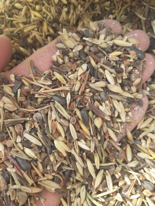 Отруби Отходы полова овёс