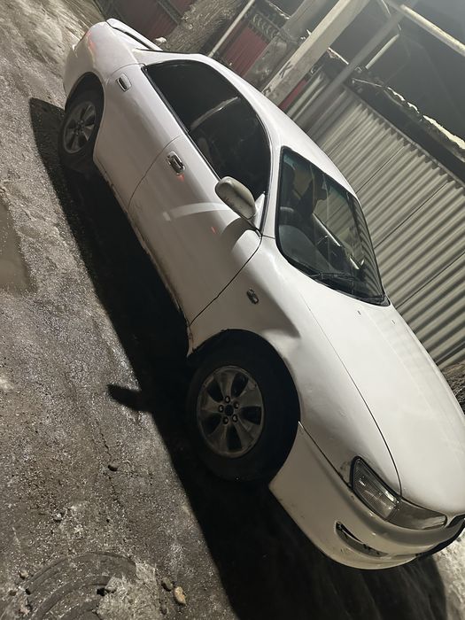 Тайота карина ед