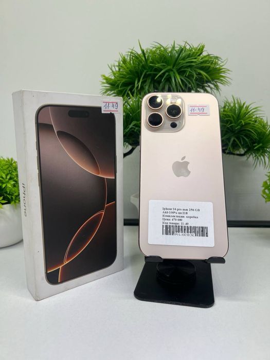 IPhone 16 Pro Max 256 GB