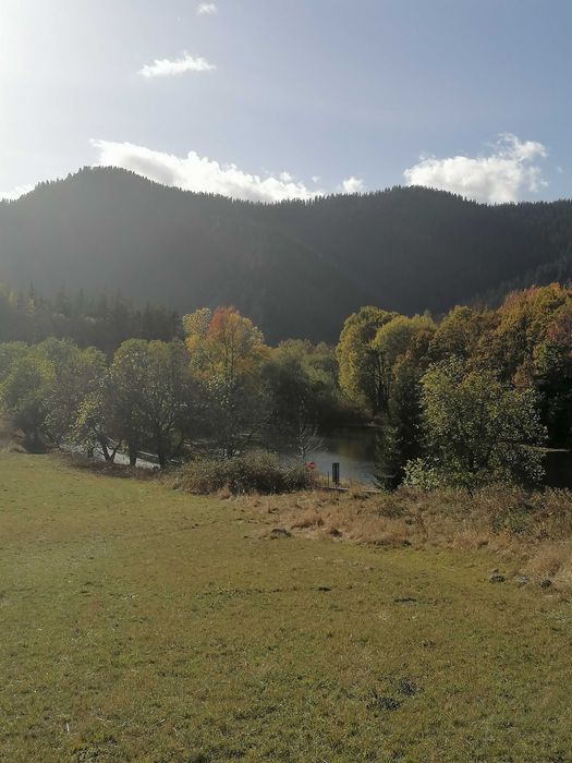 Продава се Парцел в Смолян, Езерово - 1080 кв.м за 31 €/кв.м - Снимка #15