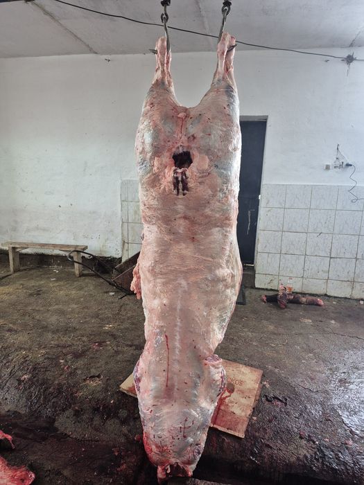 Ет сатылады откорм