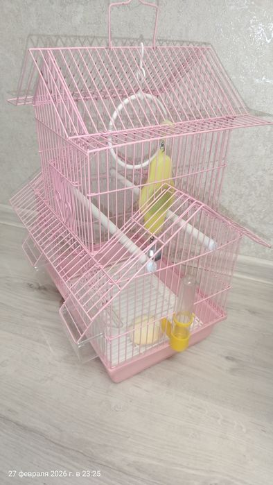 Сетка для попугай