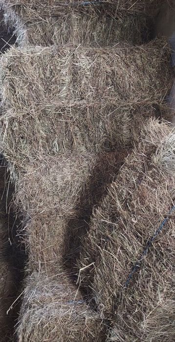 vand baloti de fan paie si otava