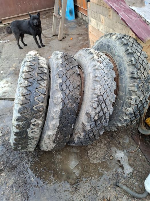 Баллон газ 52 накаченный