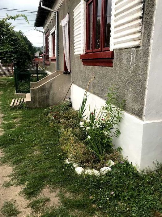 case de vanzare arges