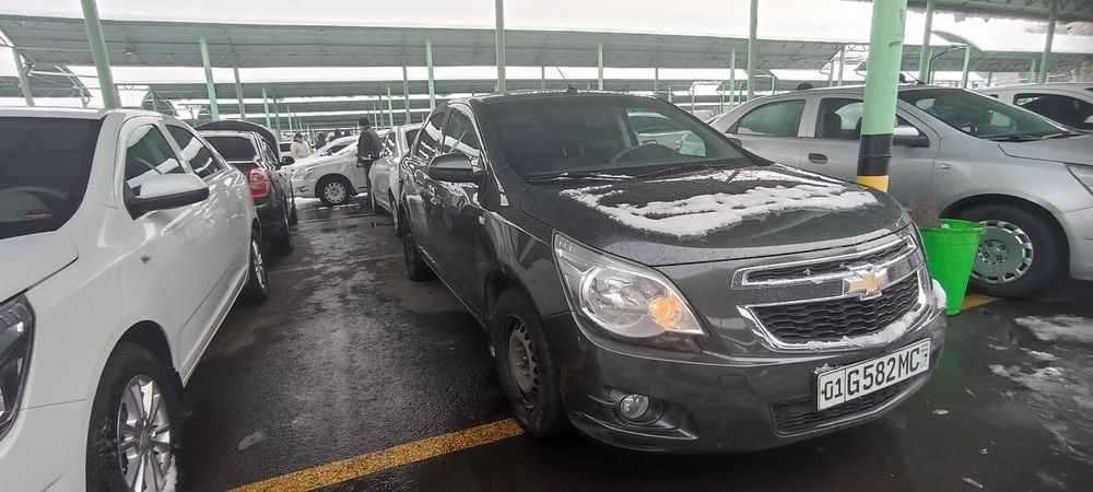 Cobolt 2022 4-pozitsiya STAYl