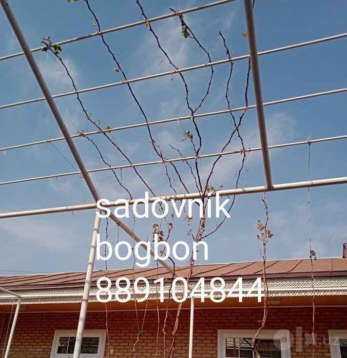 Sadovnik bogbon tok kesish archa gazon xizmati