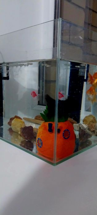 Продам Аквариум 20л