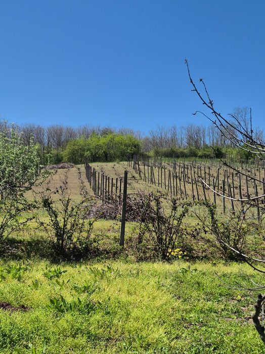 Casa de vanzare n Vutcani,judetul Vaslui