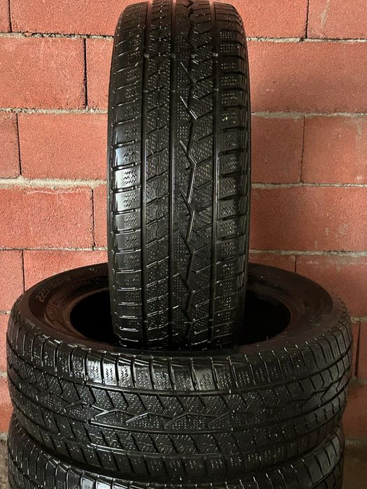 Зимнии ризина R18