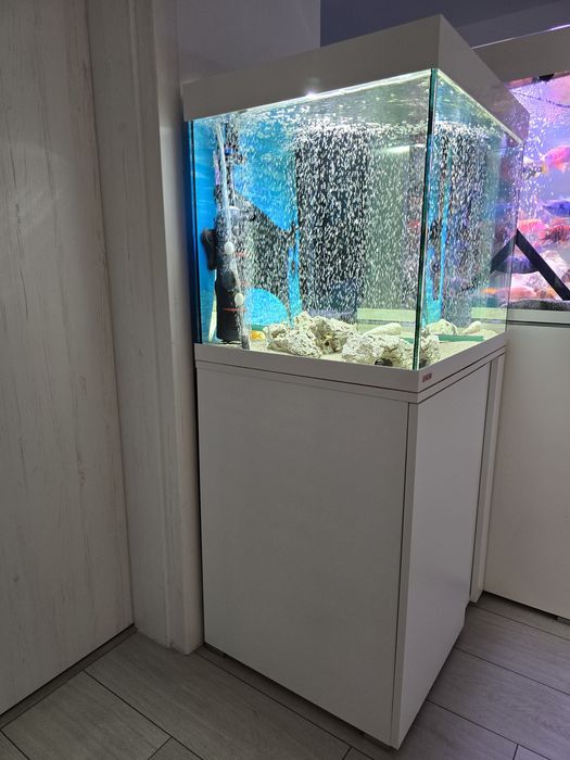 Acvariu Eheim Vivaline 150