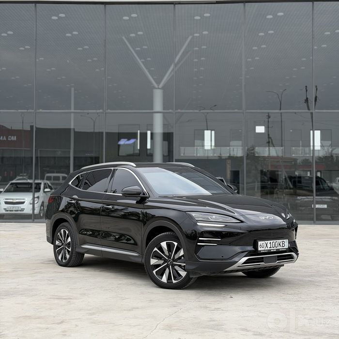 Byd champion restyling