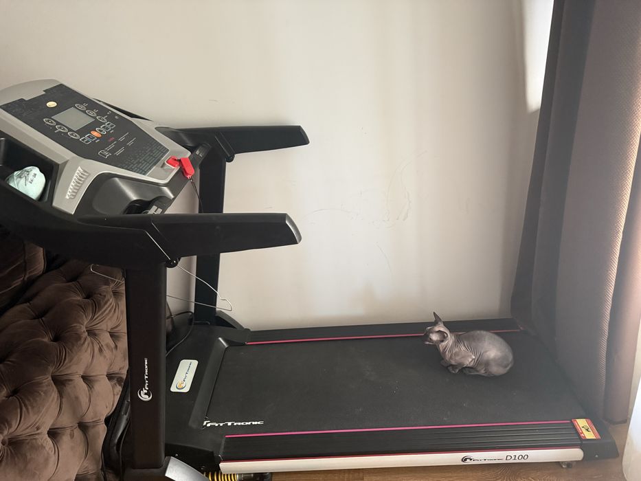 Vand banda de alergat