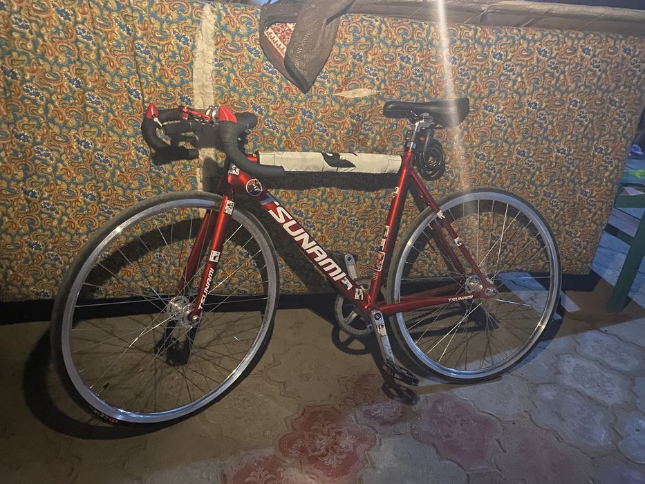 Tsunami snm 100 Fixed gear