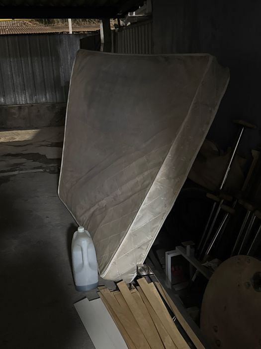 Отдам даром срочно