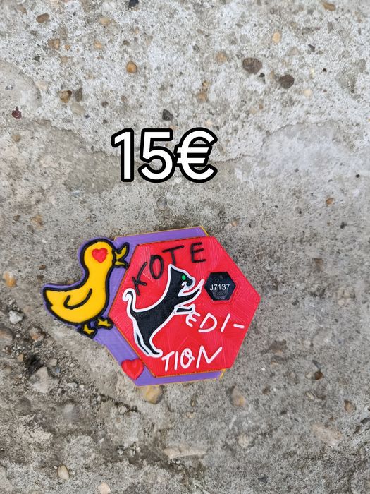 Lab coin dobri4 s