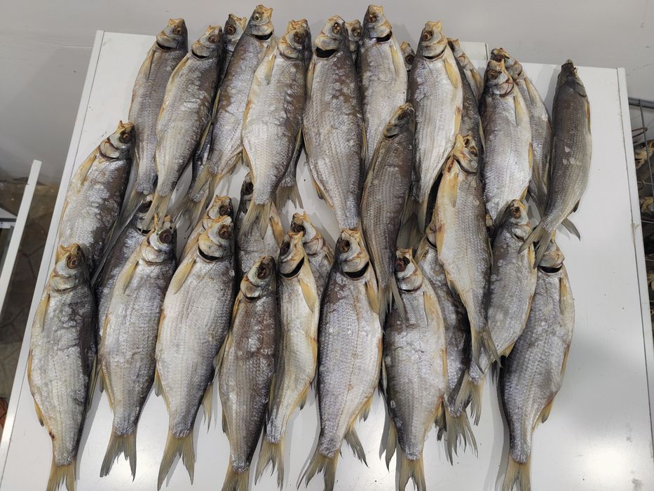 Рыбец вяленый продаю