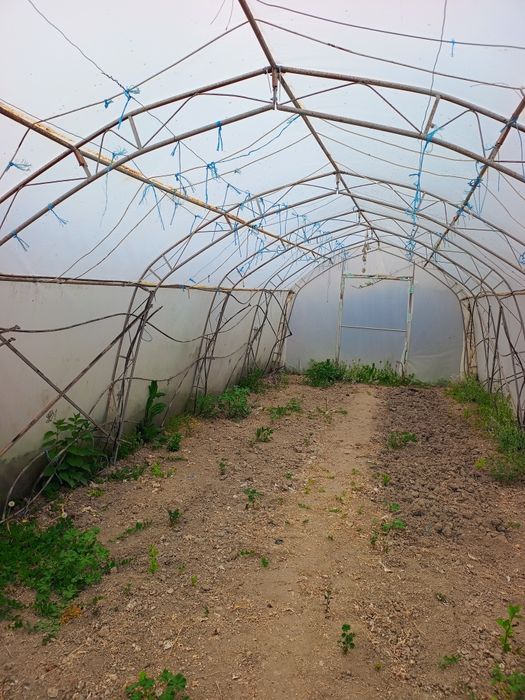 Професионална оранжерия 10/4м