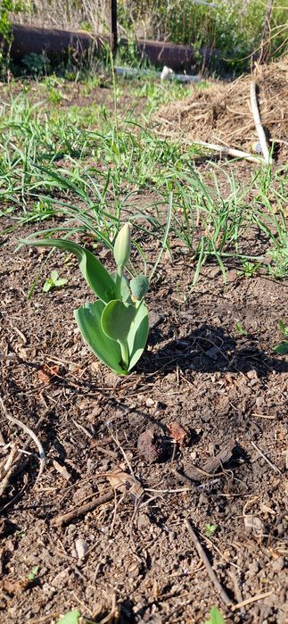 Продам дачный участок