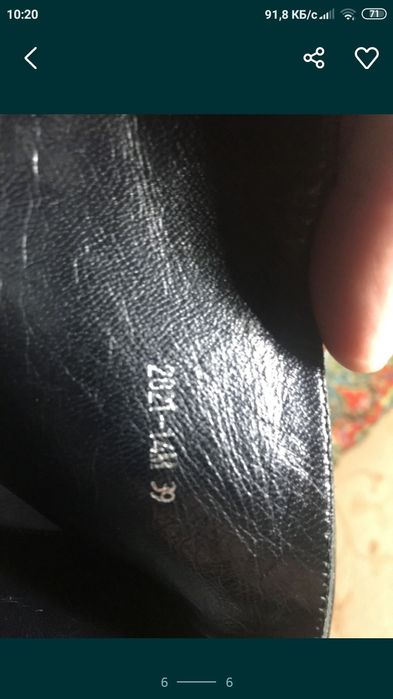 Высокие сапоги Basconi зима