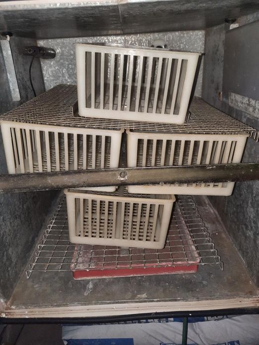 Продам инкубатор на 250 яиц