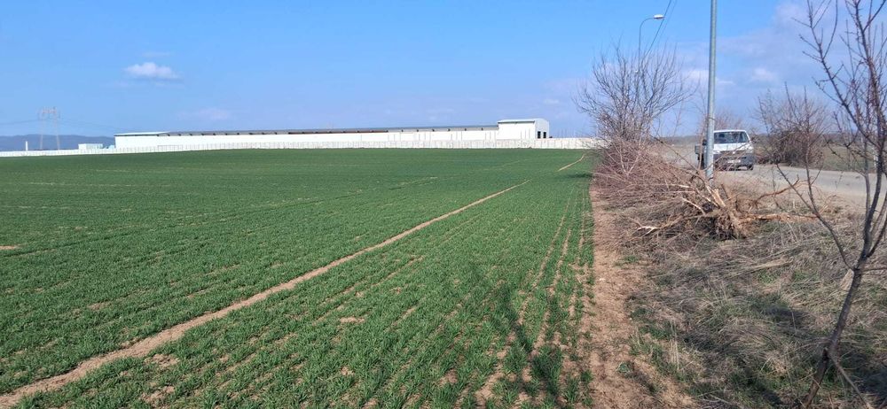 Teren intravilan 1.667 mp zona industriala , zona Targ Baicoi