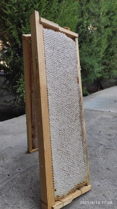 Продаю Натуральный Сотовый Мёд!!! Со своей пасеке! Урожай 2024 год