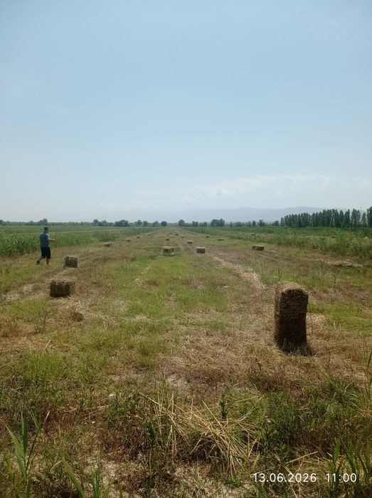 Поля 8.84 гектар
