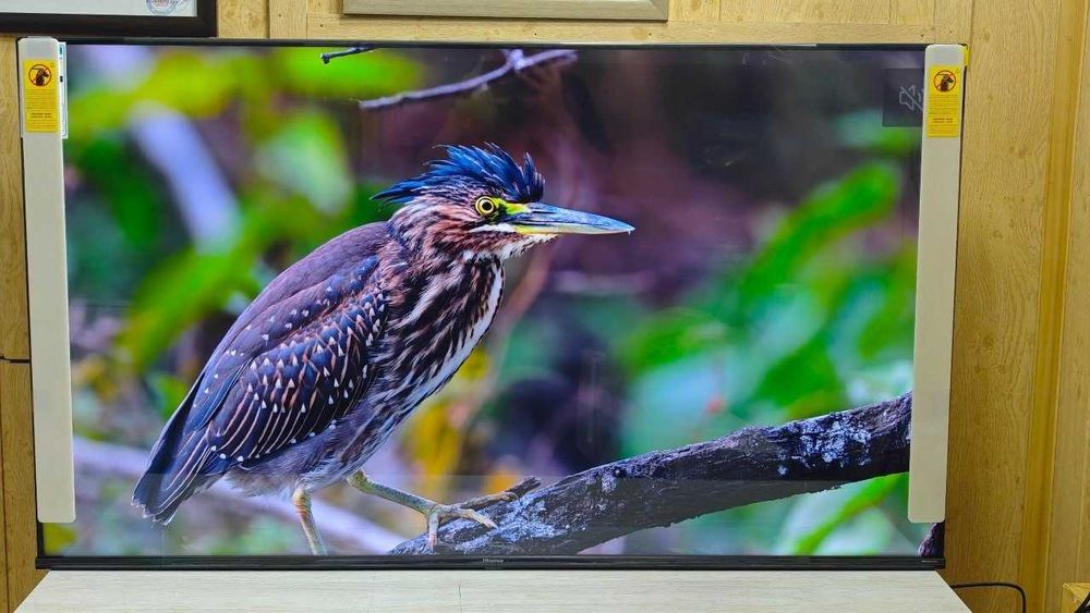 телевизор Hisinse 55"