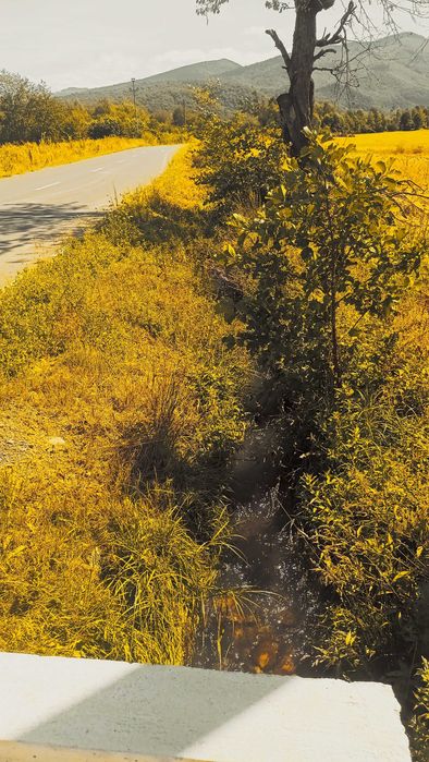 Teren Valea Sebeșului ,Hărseni ,Făgăraș .