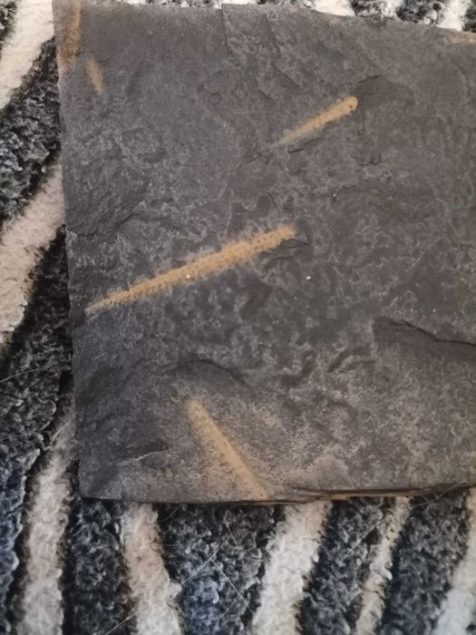 Продавам български фосили