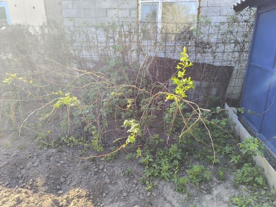 Продам дачный участок