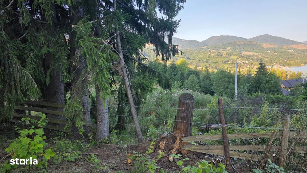 Teren Colibita 5100 mp, sau doua parcele 17 si 24 ari cu utilitati