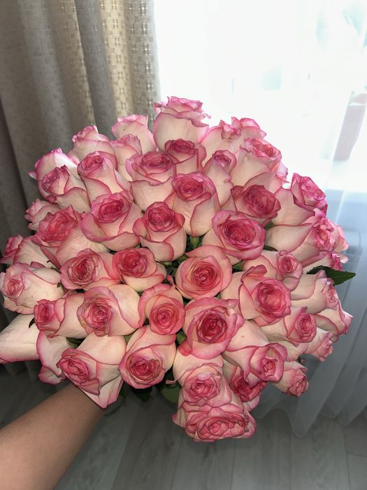51 штук розовые роза