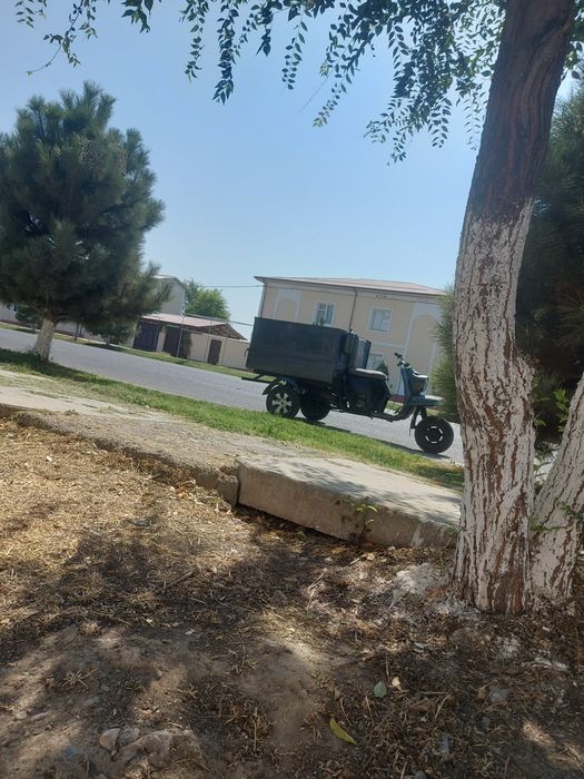 Muravey sotiladi suroshna