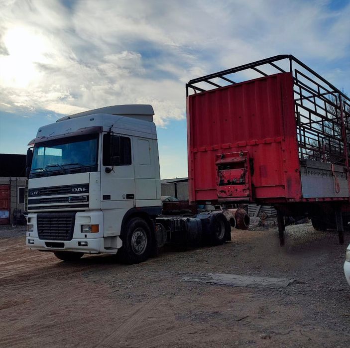 Продам Daf X95-380