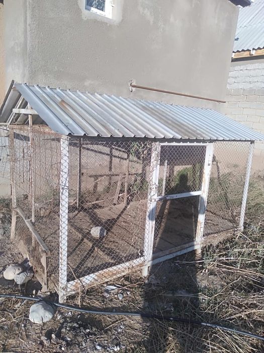 Валлер для собак